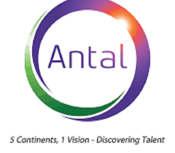 Antal International recrute