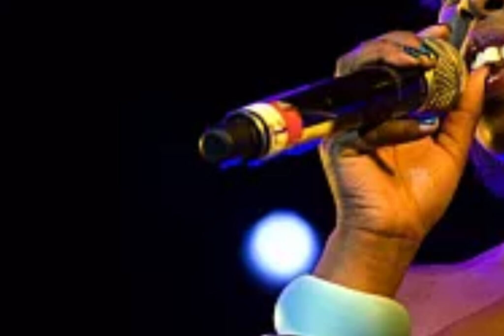 artiste africain 3000 chansons Plus de 3 milliards versés aux artistes ivoiriens par le BURIDA en 2024 : 29 millions pour...