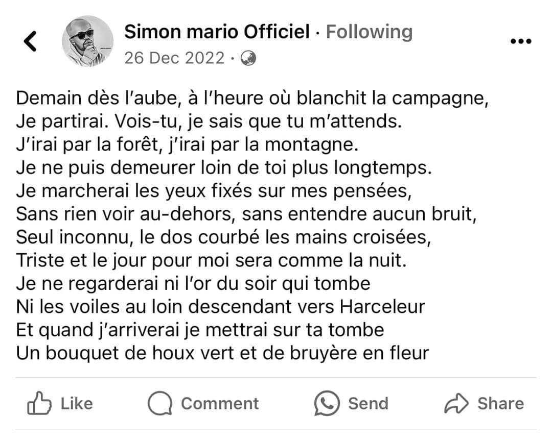 Simon Mario