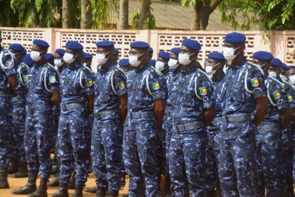 polices professionnelles Afrique