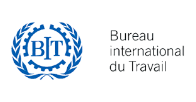 Le Bureau International du Travail (BIT) recrute pour ce poste (29 Février 2024)