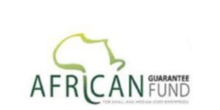 Le Groupe African Guarantee Fund Recrute Pour Ce Poste (26 Février 2024 ...