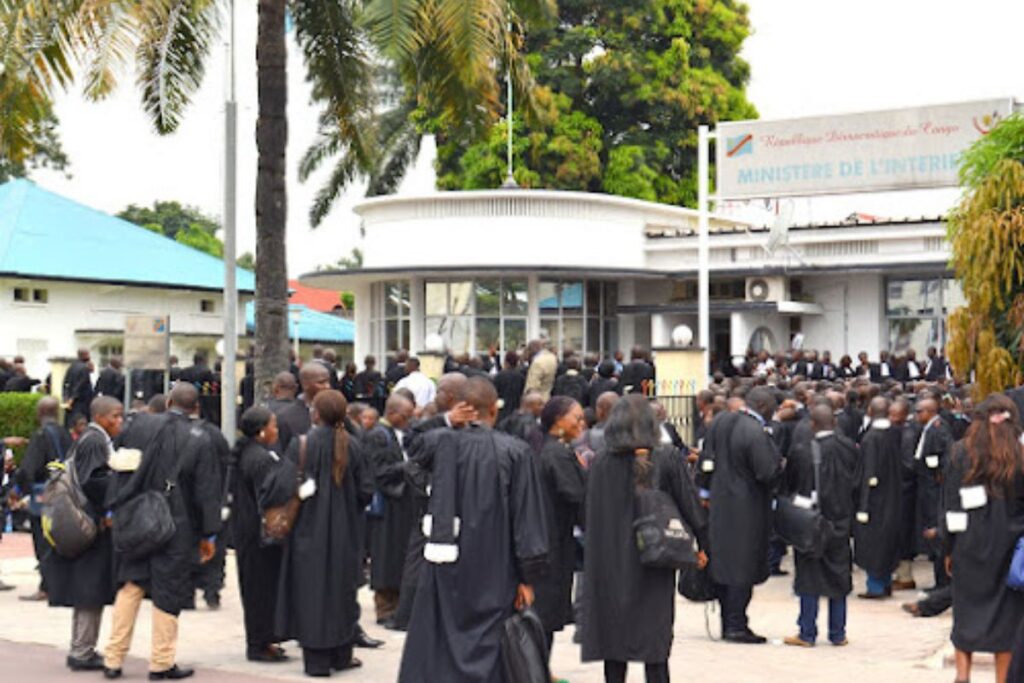 avocats Niger violations droits commission anti-corruption