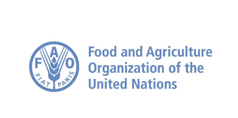 Le Bureau de la FAO recrute pour ce poste (22 Mars 2024)