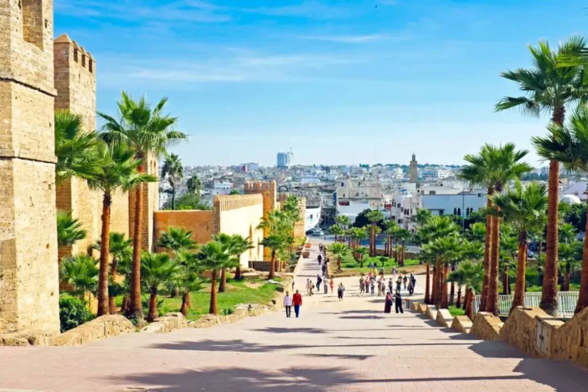 Tourisme : ce pays d'Afrique du Nord séduit les Pays-Bas avec le... Tourisme : ce pays africain bat un record