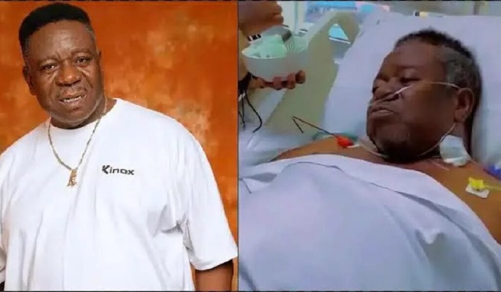 Mr Ibu Fille