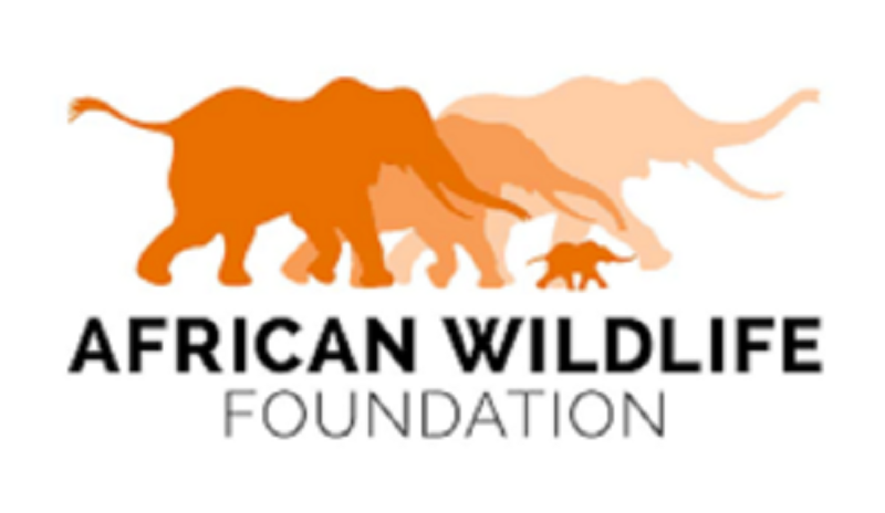 African Wildlife Fondation (AWF) recrute