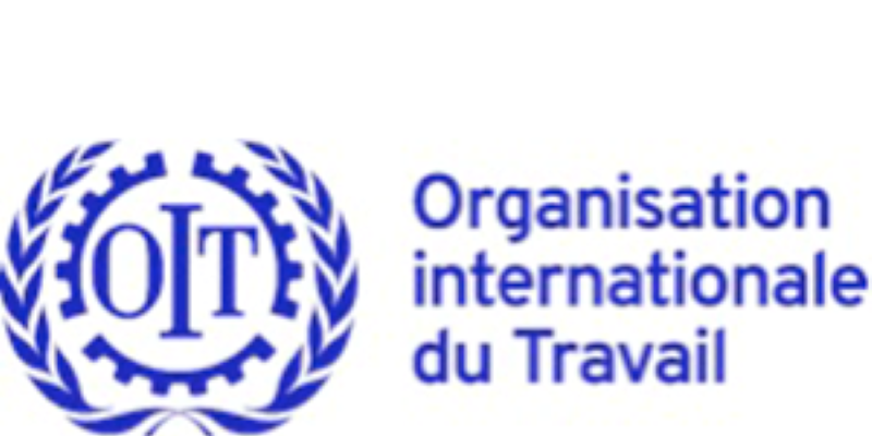L’Organisation Internationale du Travail (OIT) recrute pour ce poste (15 Avril 2024)