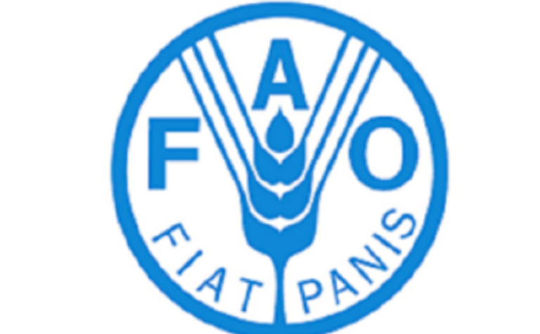 La FAO recrute pour ce poste (16 Avril 2024) - YOP L-FRII