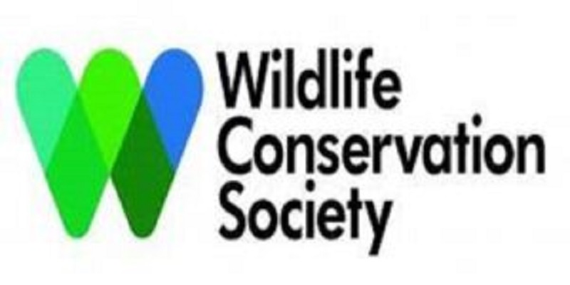 La Wildlife Conservation Society (WCS) recrute