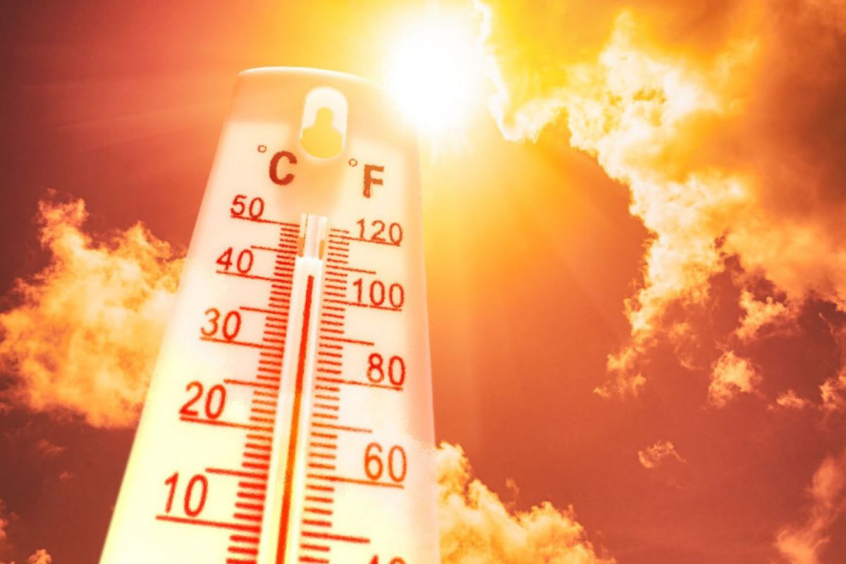 France : un record de chaleur battu en novembre dans cette région Le Japon et la Corée du Sud ont connu leur été le plus chaud jamais enregistré