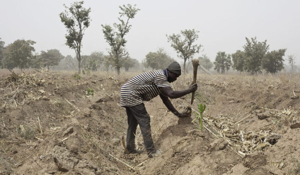 Les populations de ces 3 pays ouest africains vivent au seuil de l'insécurité alimentaire sévère