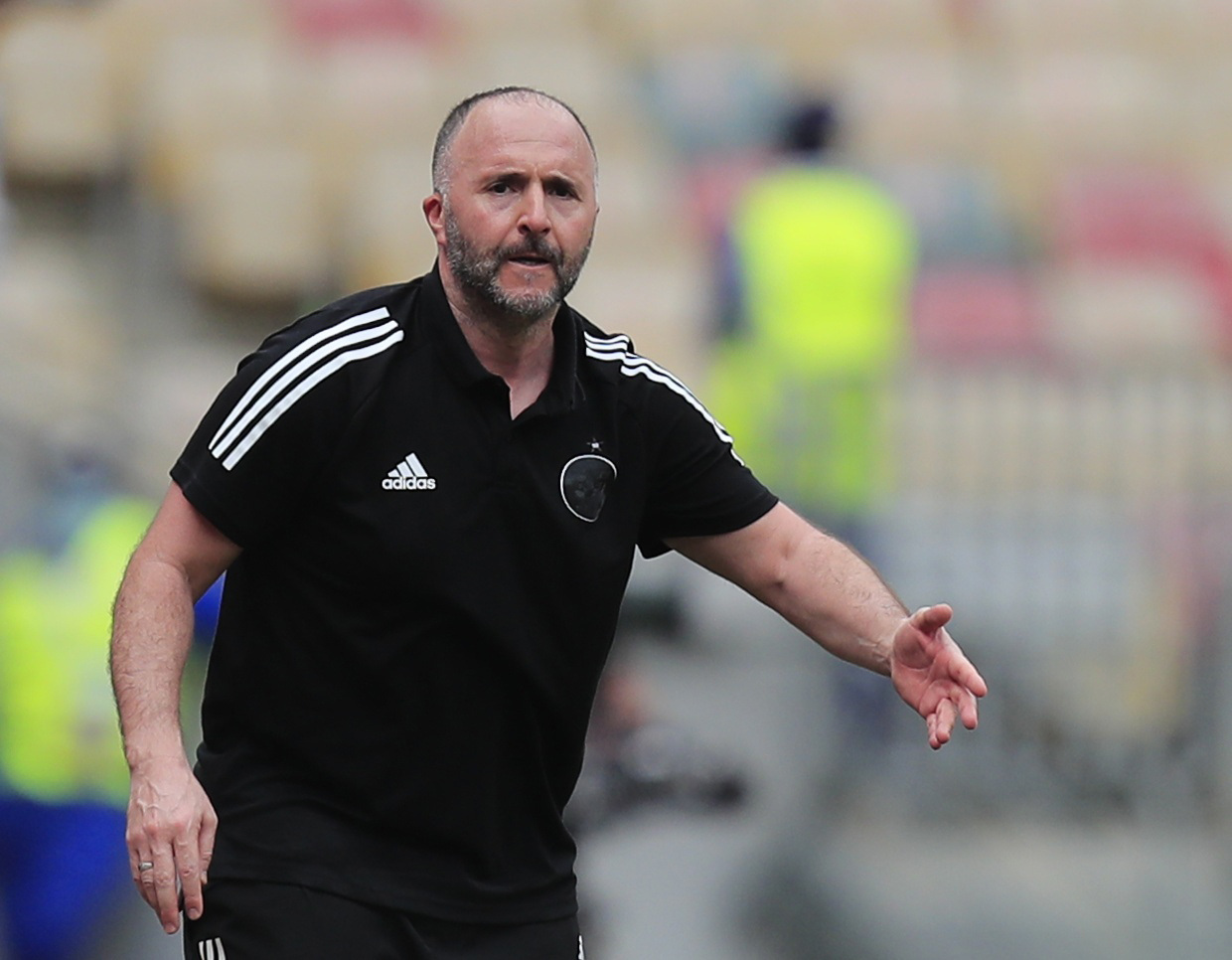 Djamel Belmadi : viré de l’Algérie, l’ancien coach des Fennecs en passe de rejoindre une sélection