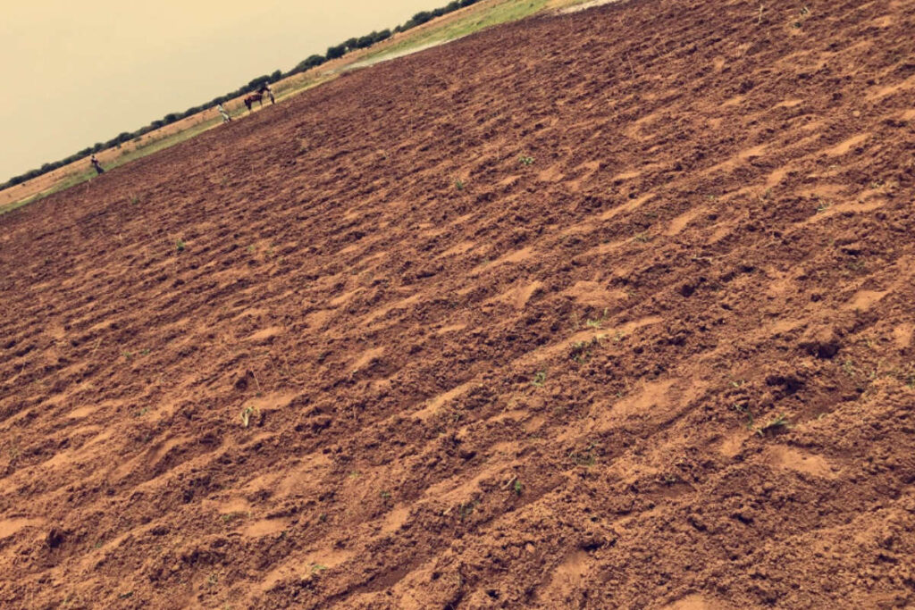 Burkina Faso hectares