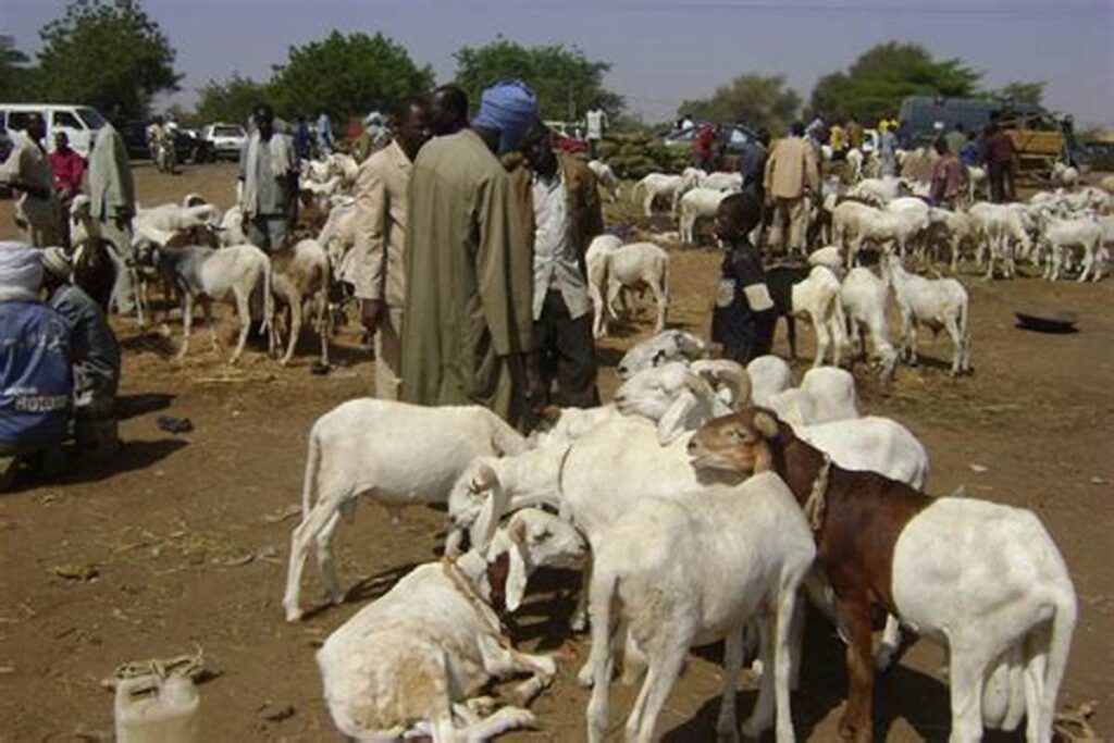 parc de bétail Côte d'Ivoire : les autorités durcissent le ton envers les mécaniciens et les vendeurs de bétail ; la raison