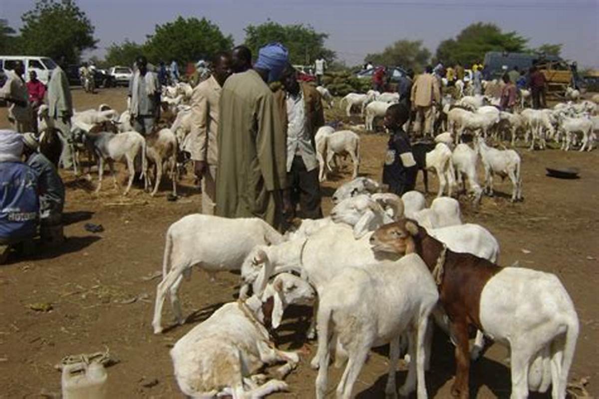 parc de bétail Côte d'Ivoire : les autorités durcissent le ton envers les mécaniciens et les vendeurs de bétail ; la raison