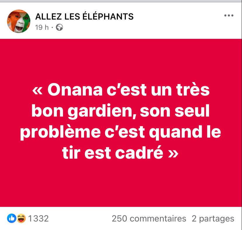 André Onana Cameroun