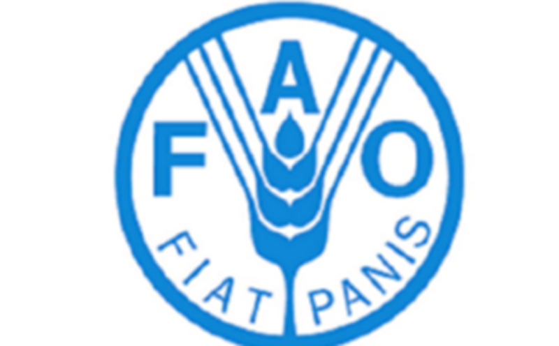 Appel à candidature de la FAO pour le recrutement de plusieurs Experts