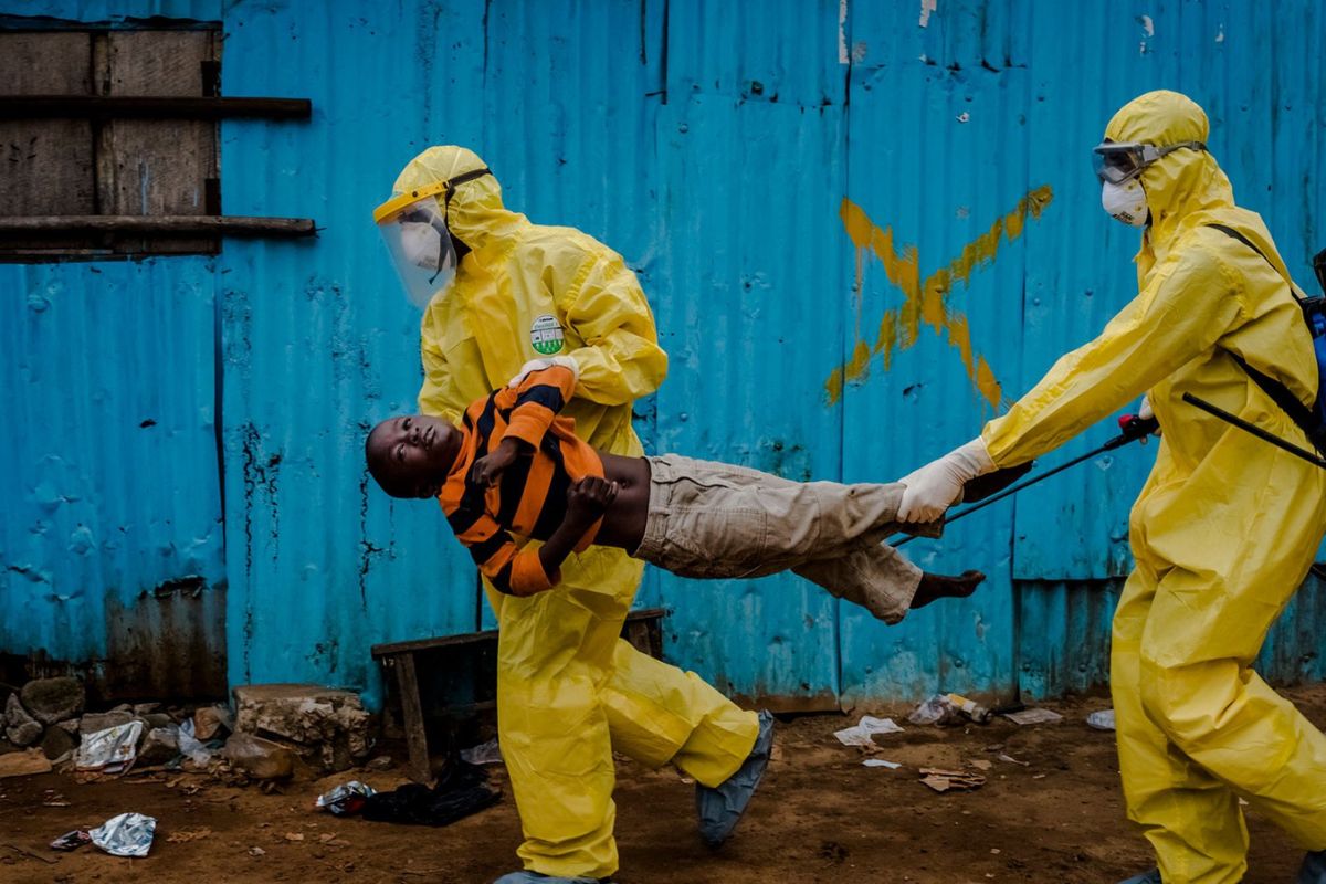 4 morts enregistrés dans ce pays d’Afrique du Nord après l’apparition de la fièvre de la vallée du Rift