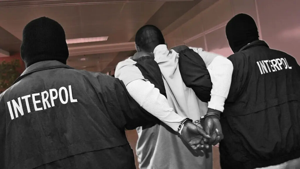 Gros coup pour Interpol en Afrique de l'Ouest ; des millions d'euros saisis et plusieurs interpellations pour escroquerie