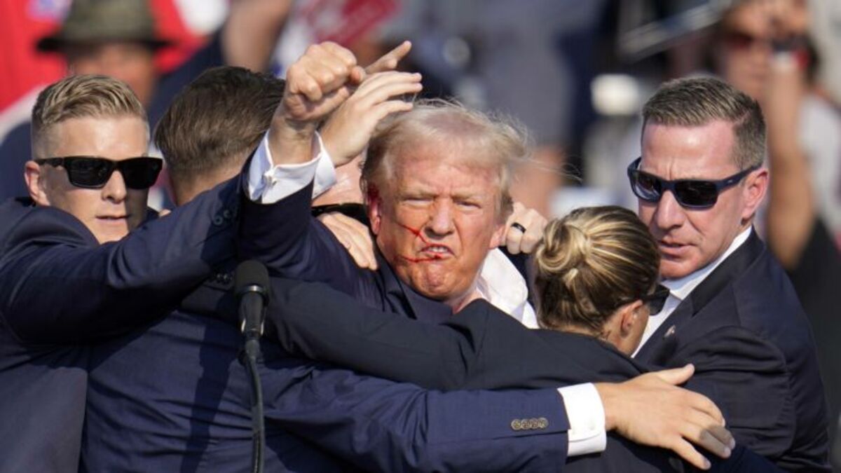 Donald Trump tentative assassinat auteur