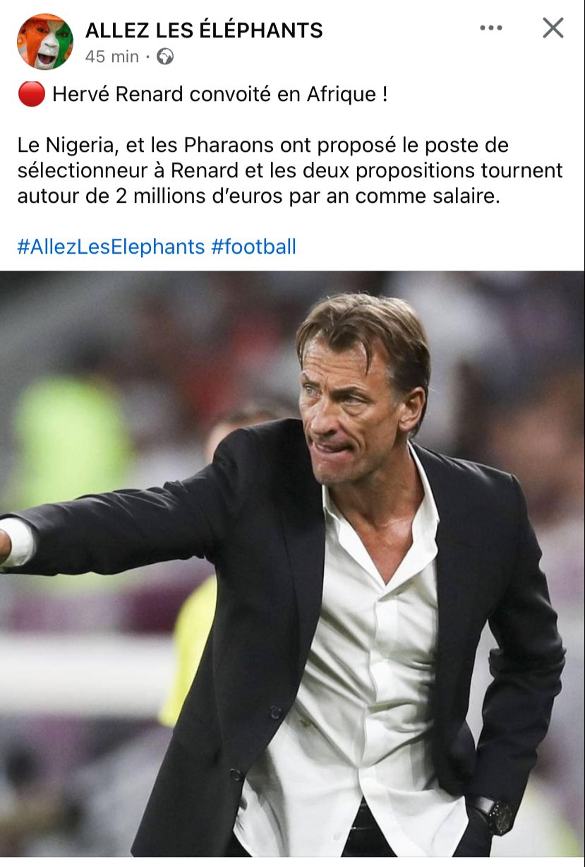 Hervé Renard Afrique