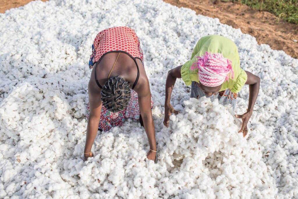 Bénin Coton