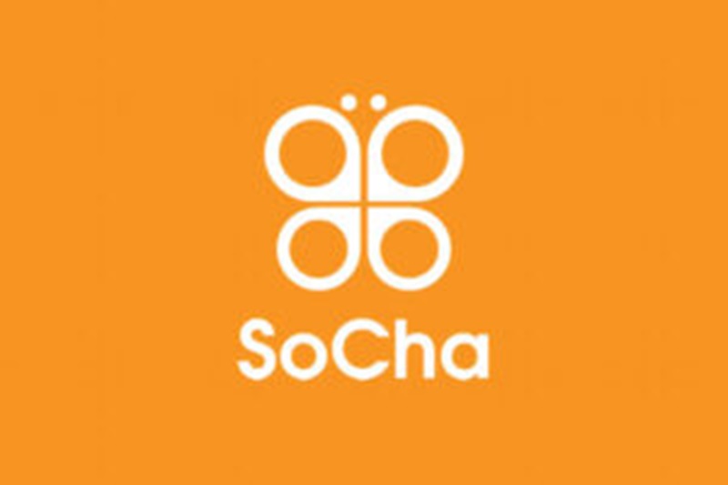 L’ONG internationale SoCha LLC recrute