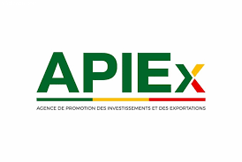 Bénin : L'Agence de promotion des investissements et des exportations (APIEx) recrute