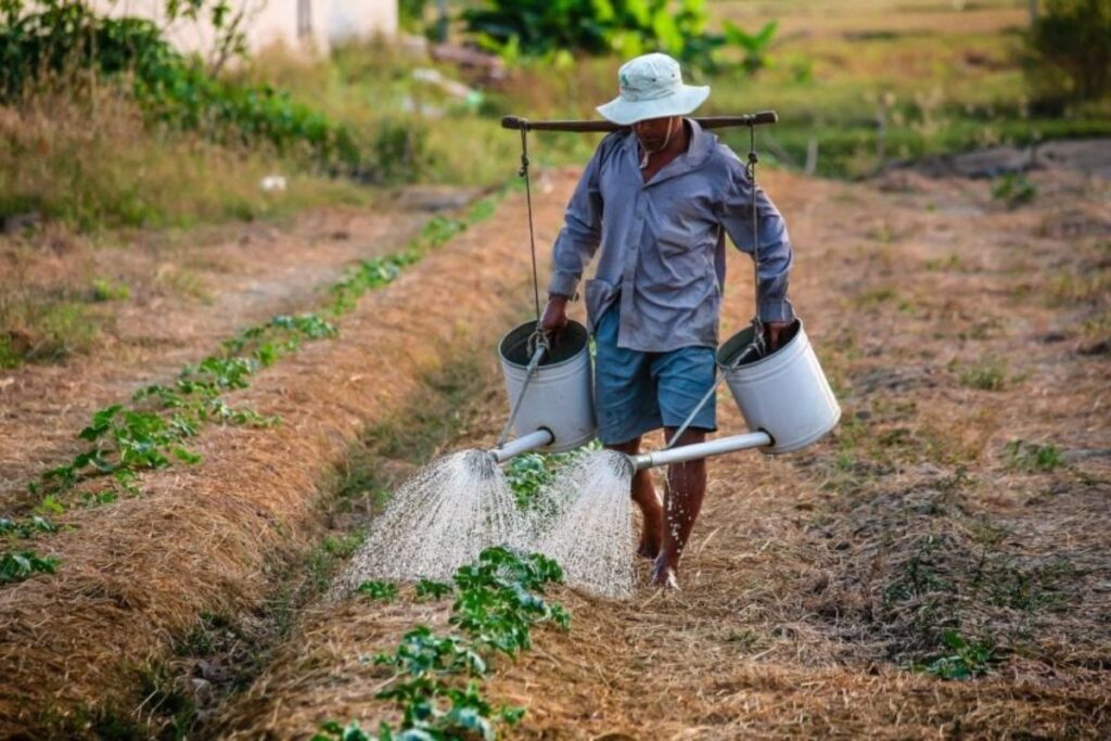 Côte d'Ivoire producteur