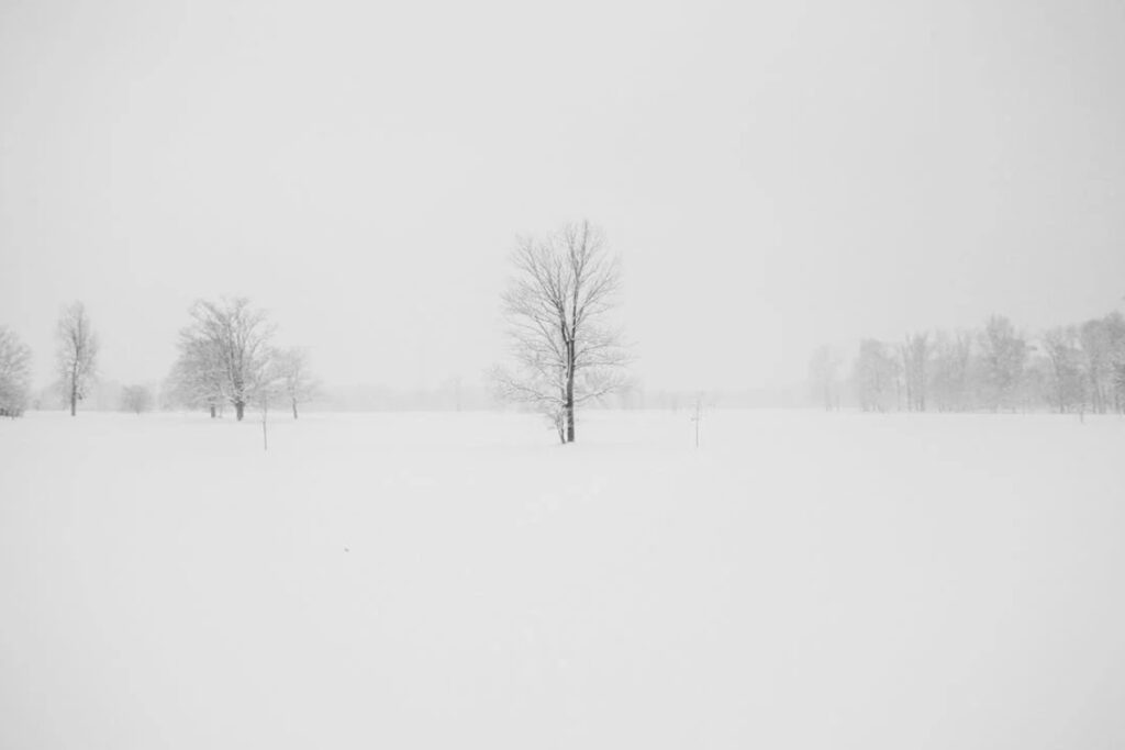 neige Afrique