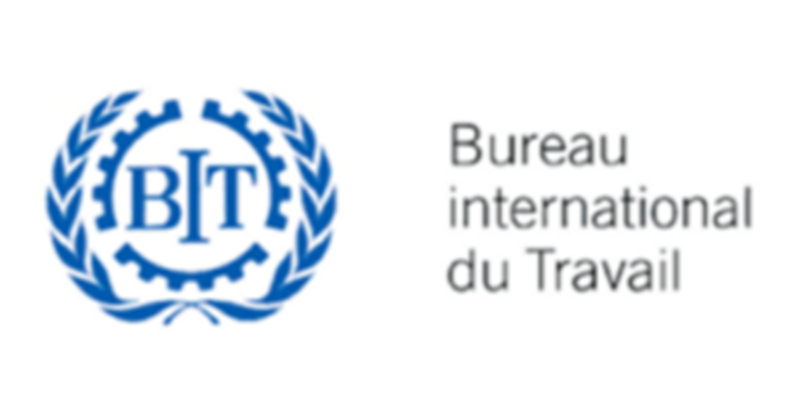 Programme de stage du Bureau International du Travail (BIT)