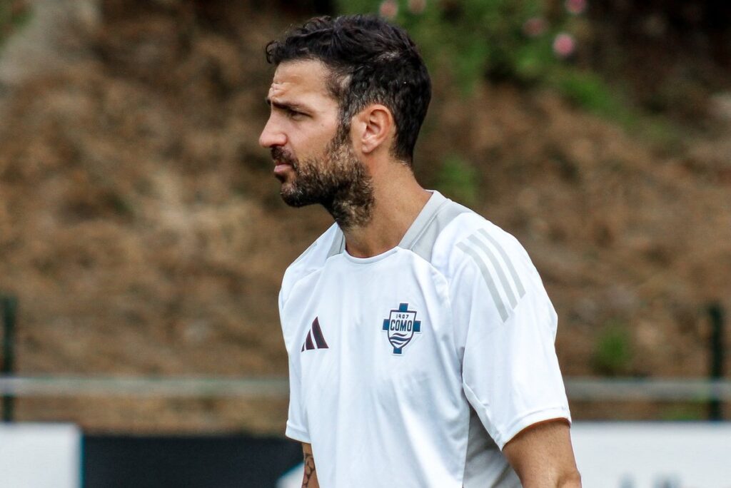 Fabregas entraîneurs type joueurs