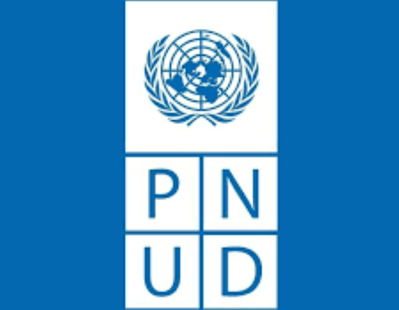 La Mission du PNUD recrute pour ces 04 postes (29 Octobre 2024)