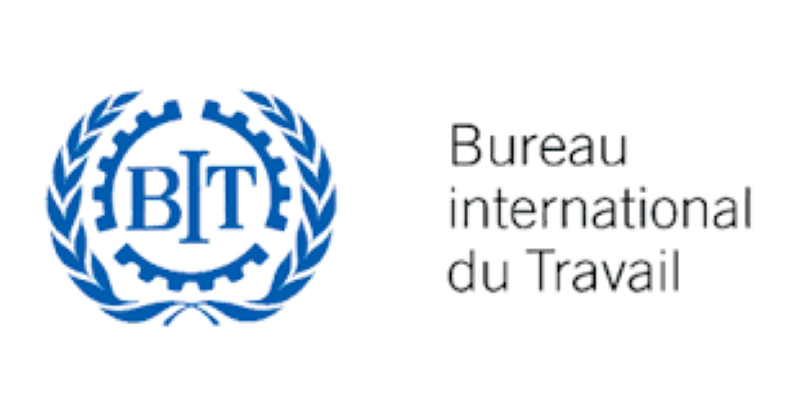 Le Bureau International du Travail (BIT) recrute pour ce poste (26 Octobre 2024)