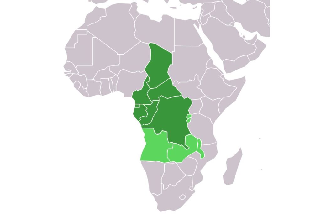 Afrique centrale : encore un coup dur pour ce pays qui fait face à une nouvelle tragédie