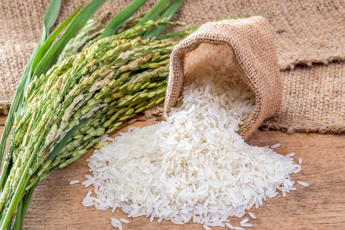 Ce pays va encourager la production de riz après les hausses de prix