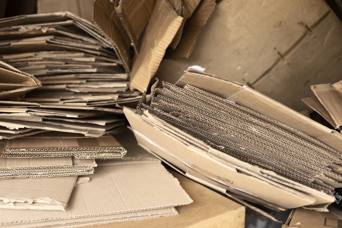 Ce pays d’Afrique du Nord transforme les déchets de bananiers en carton Ce pays d'Afrique du Nord donne un coup de pouce pour la fabrication de papier et de carton