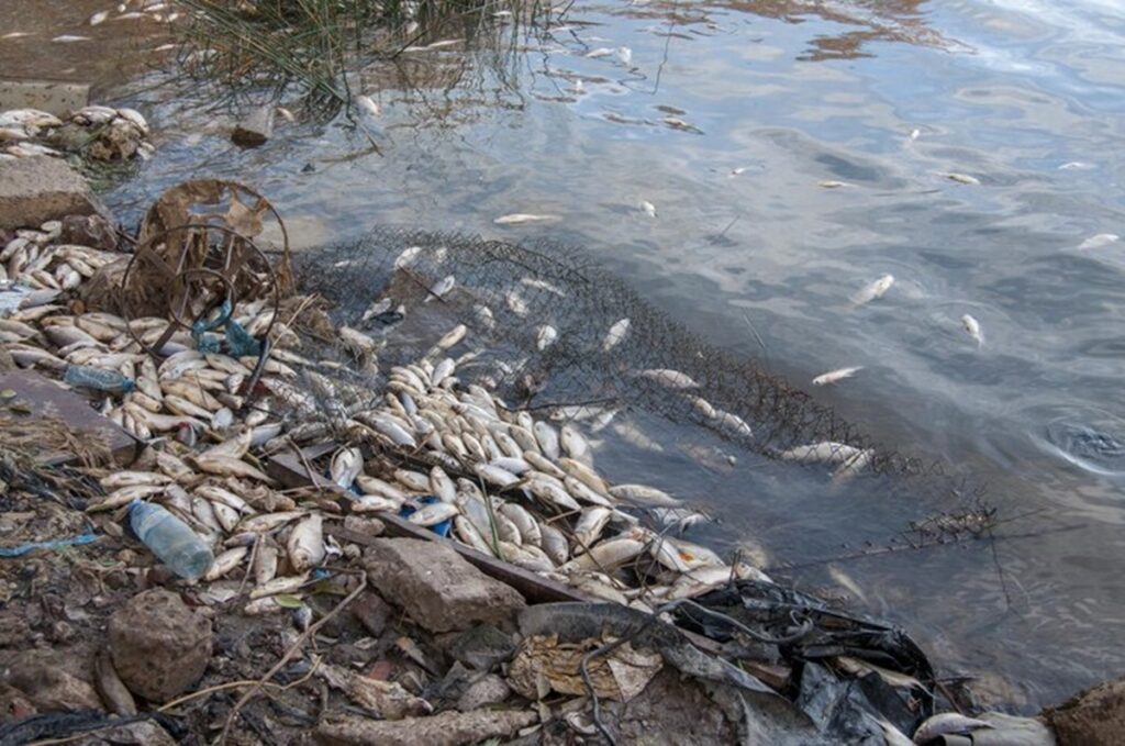 Grave pollution d'une rivière en Côte d'Ivoire le gouvernement se montre catégorique