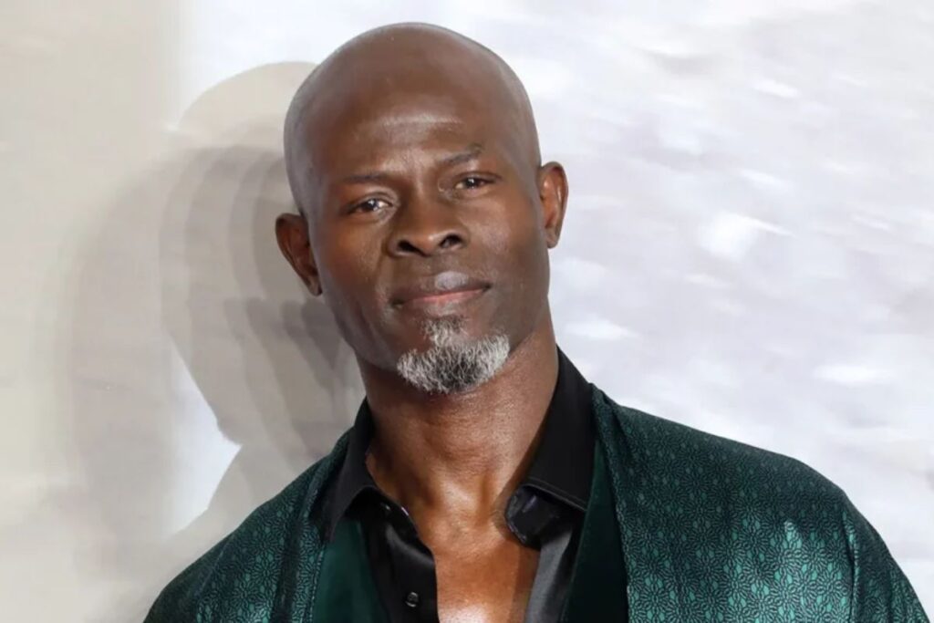 Djimon Hounsou Hollywood