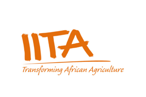 L’IITA - Institut international d’agriculture tropicale recrute (20 Janvier 2025)