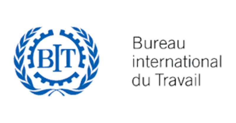 Le Bureau International du Travail (BIT) recrute pour ce poste (21 Janvier 2025)