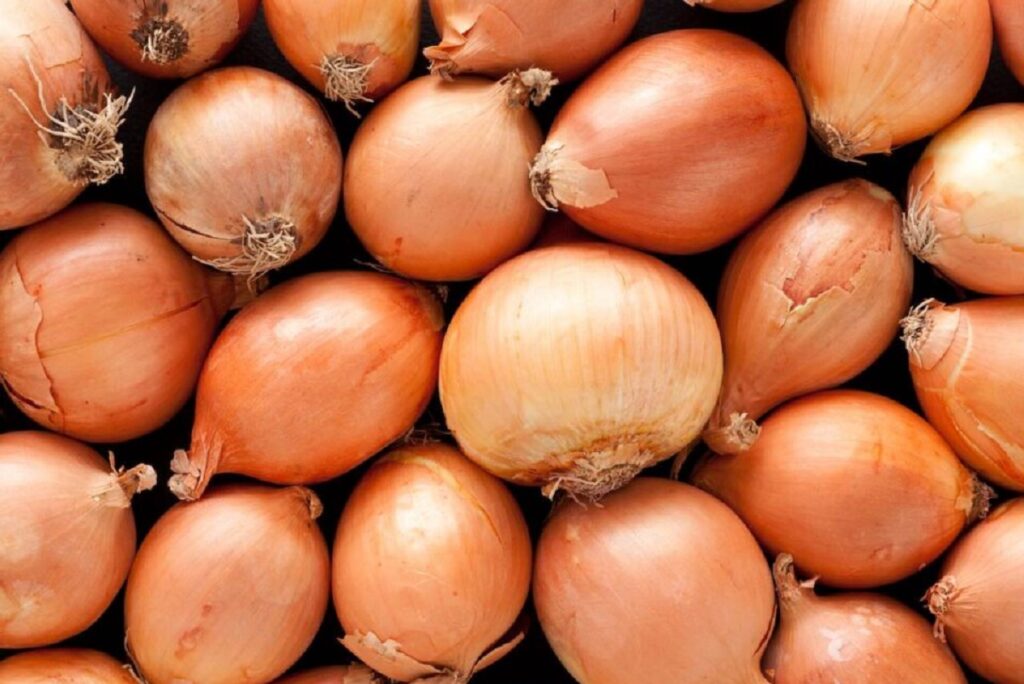 Burkina Faso le gouvernement instaure un prélèvement sur les exportations agro-pastorales et halieutiques