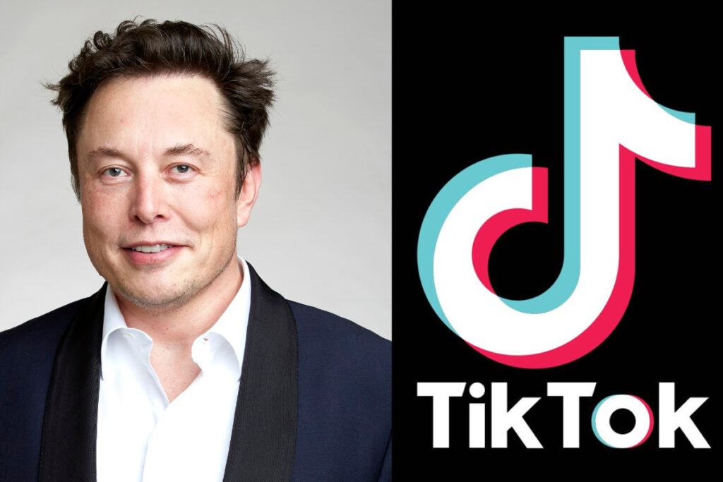 Elon Musk TikTok