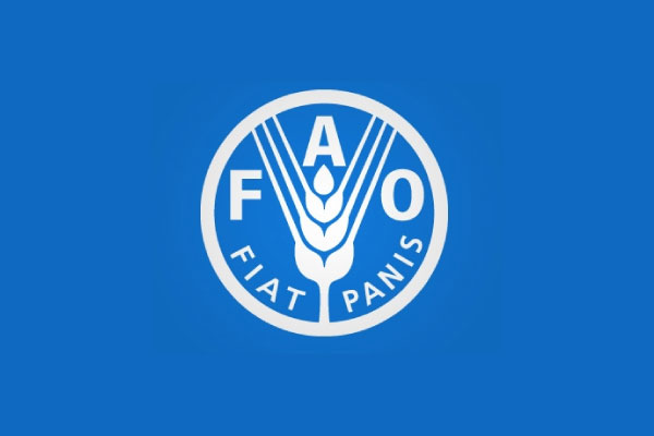 Le Bureau régional de la FAO recrute (17 Février 2025)