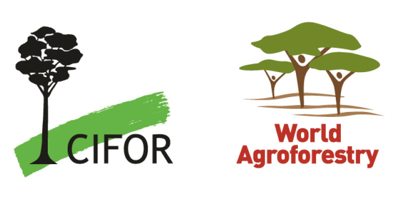 Le CIFOR-ICRAF recrute pour ce poste (27 février 2025)