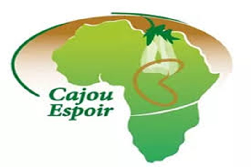 Togo L'entreprise de transformation et d’exportation Cajou Espoir recrute