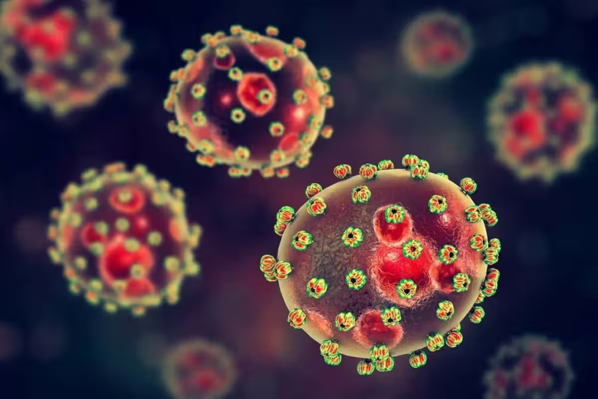 Un virus variant d'Ebola fait surface dans ce pays d'Afrique