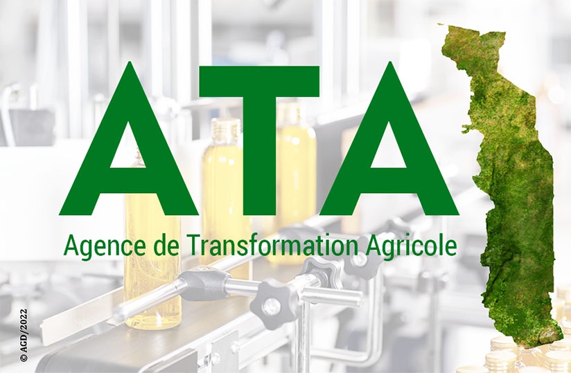 Togo : l'Agence de Transformation Agricole (ATA) recrute un stagiaire (08 Février 2025)