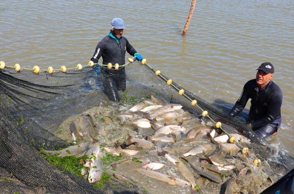 Ce pays d'Afrique du Nord inaugure une usine pour produire 7 tonnes de poissons et de crevettes par jour